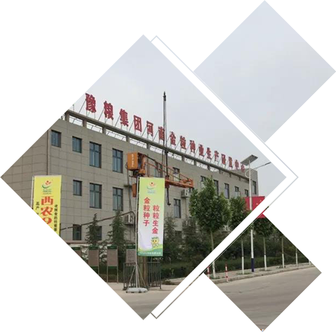 糧食倉儲(chǔ)