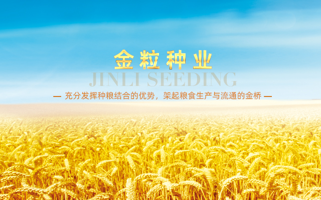 金粒種業(yè) 金粒種業(yè)