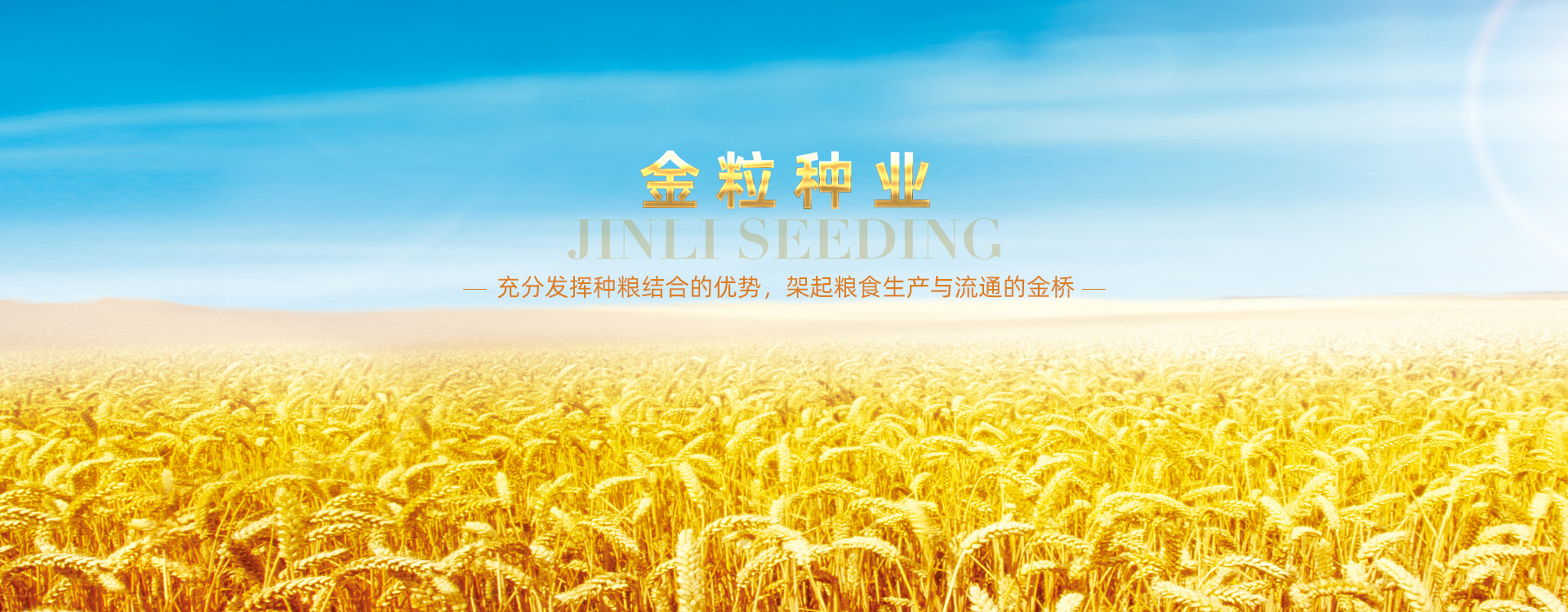 金粒種業(yè) 金粒種業(yè)